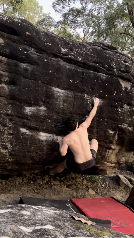 Springwood - The Prow